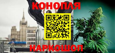 прущие крисы Лесосибирск