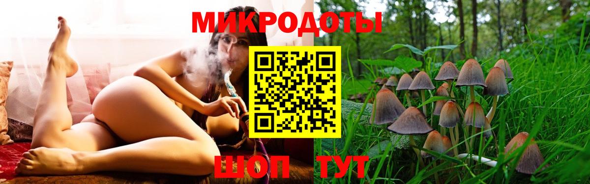Галлюциногенные грибы Psilocybine cubensis Грозный