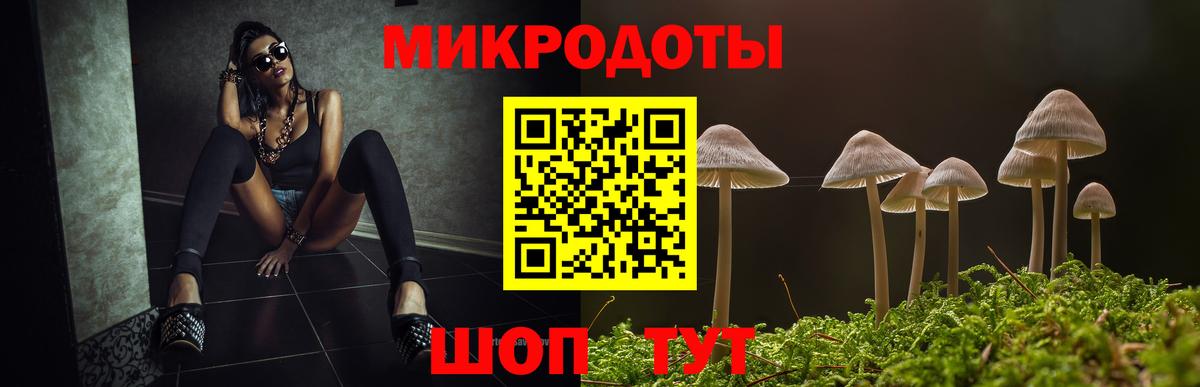 Псилоцибиновые грибы Psilocybine cubensis  Вход с VPN  Грозный 